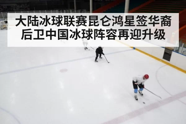 ice hockey rink