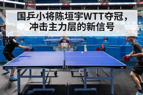 table tennis match